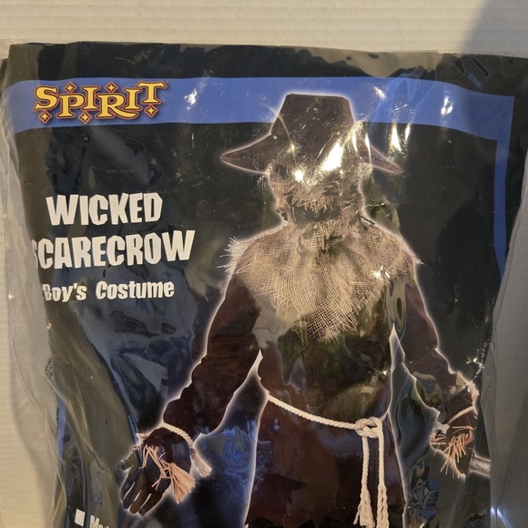 Spirit Wicked Scarecrow Child Costume Size Child Large 10-12 W/accessories! - Picture 1 of 5
